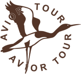 avior